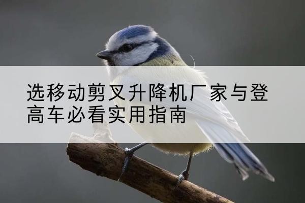白银电动升降机厂家-选移动剪叉升降机厂家与登高车必看实用指南