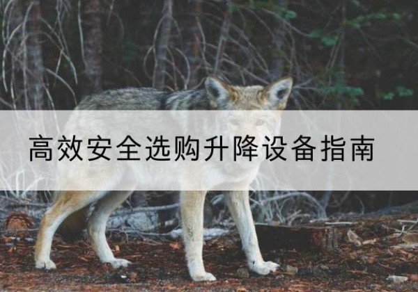 白银升降货梯厂家推荐-*安全选购升降设备指南