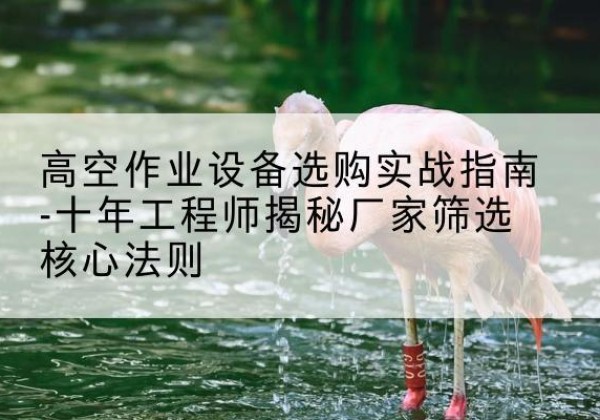 白银剪叉式升降机厂家-高空作业设备选购实战指南-十年工程师揭秘厂家筛选核心法则